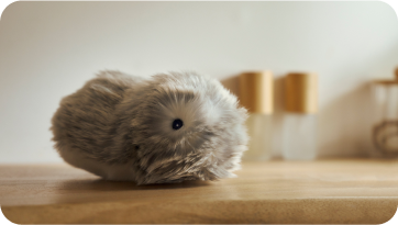 Long-Term Perspectives: What Happens After the Honeymoon - visual representation