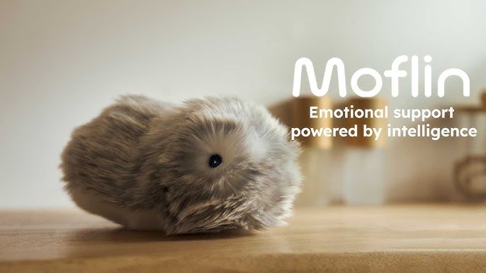 The Future of Robot Companions - visual representation