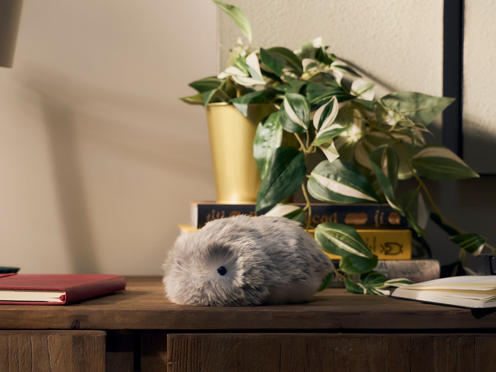 FAQ - visual representation