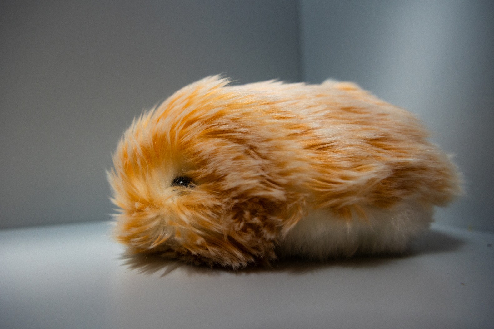 Setup and Getting Started: The Practical Side - visual representation