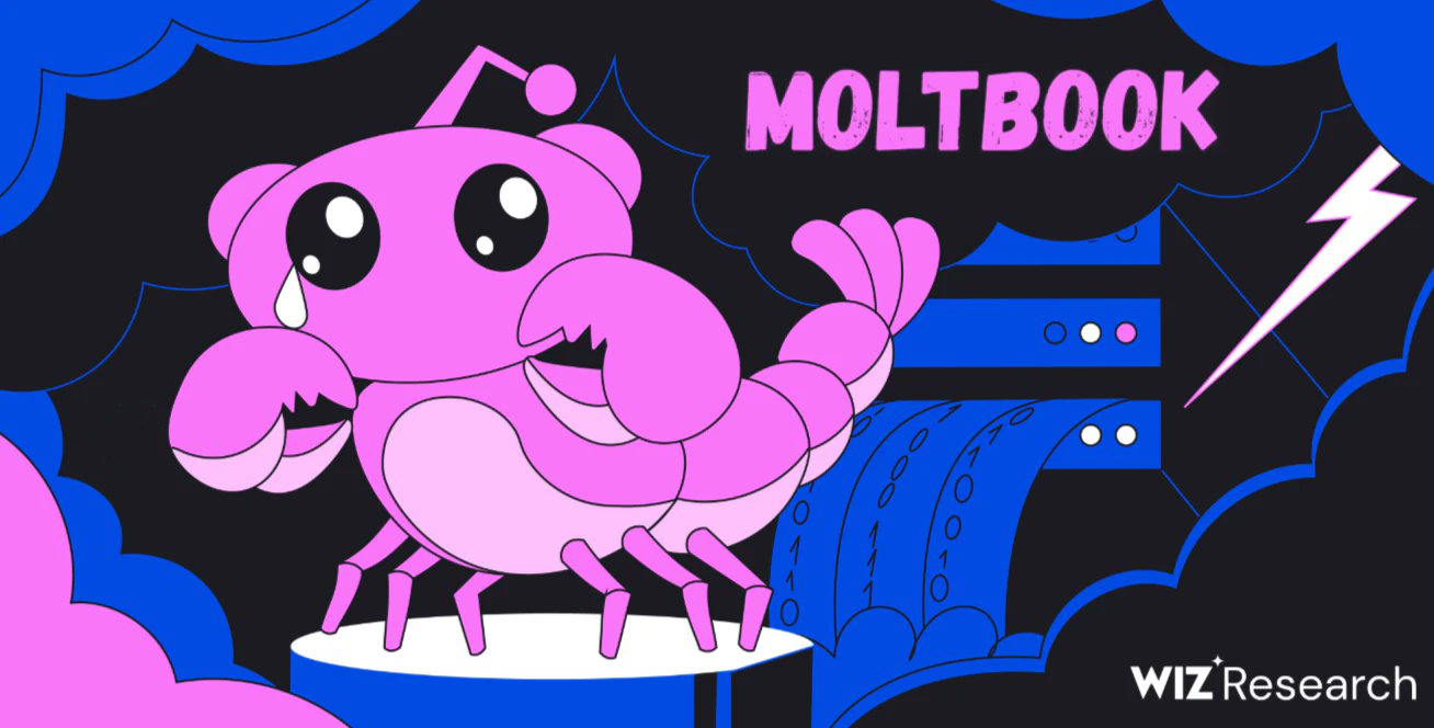 Security Lessons From Moltbook - visual representation