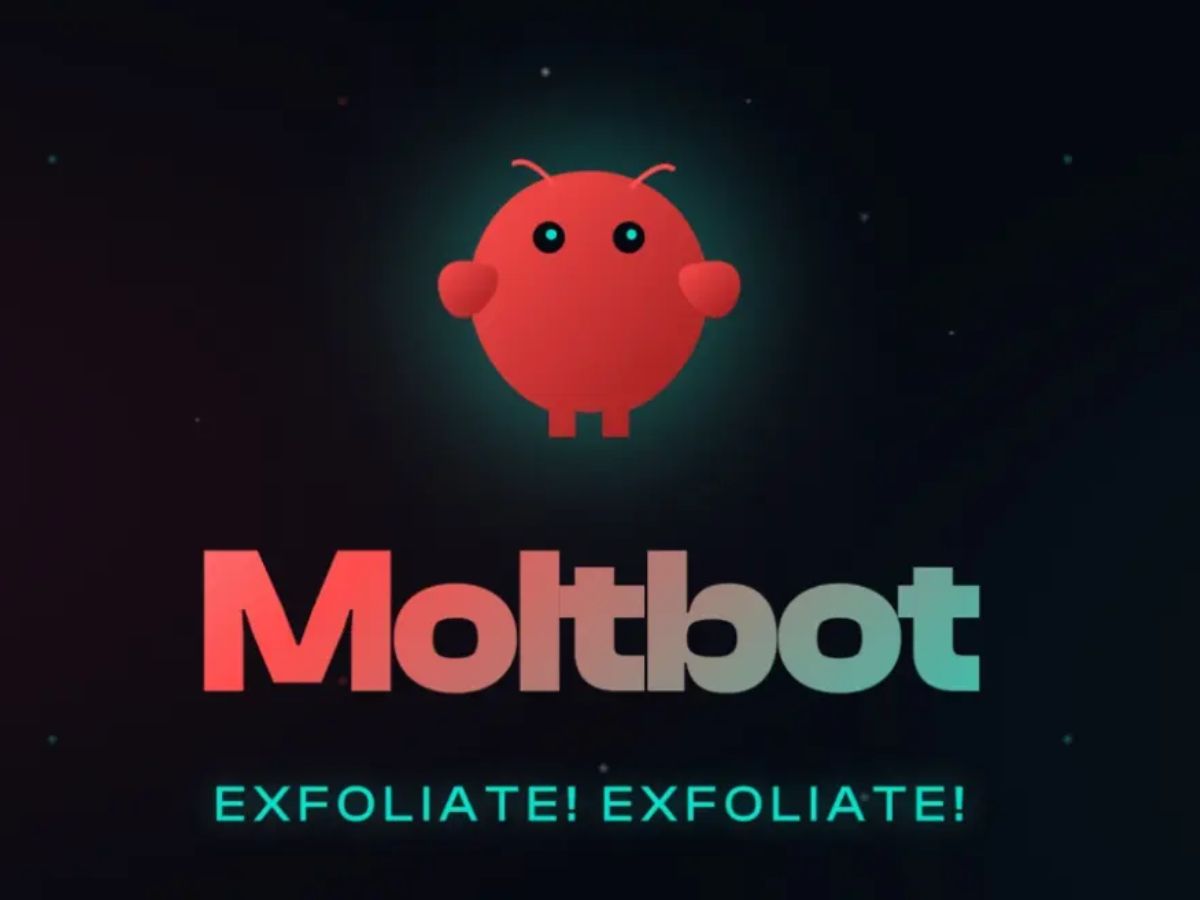 The Philosophy Behind Moltbot: Data Ownership and Local Computing - visual representation