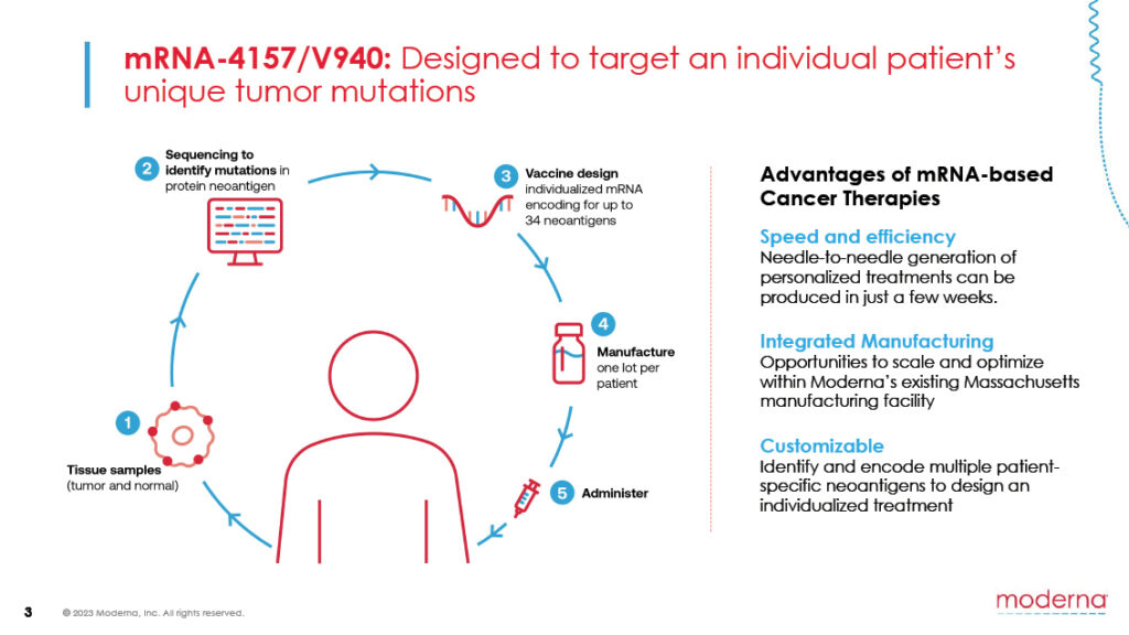 The Regulatory Pathway: How This Vaccine Gets to Patients - visual representation