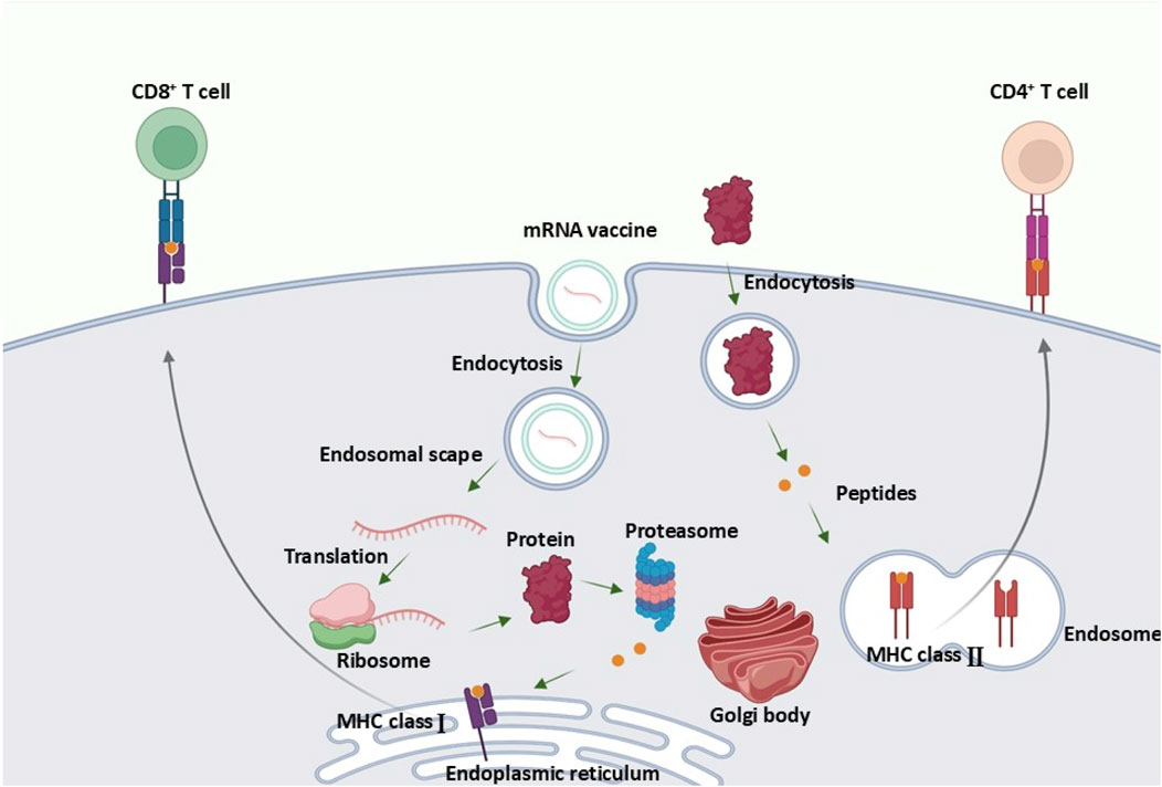 FAQ - visual representation