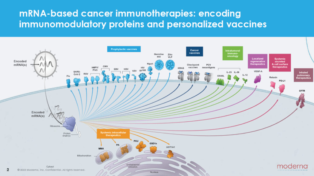 Comparison: How This Vaccine Approach Differs from Traditional Cancer Treatments - visual representation