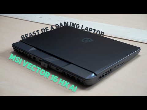 Sustainability and Longevity - visual representation