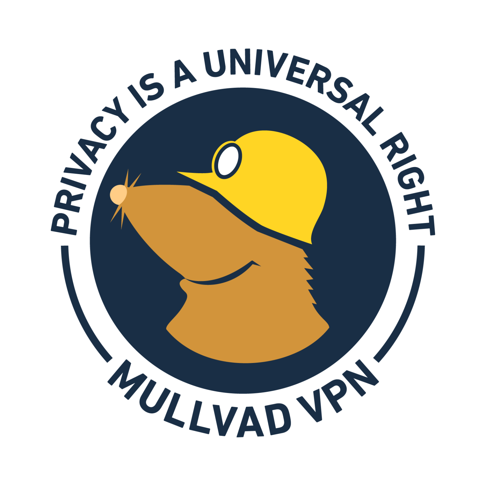 Future Evolution: What Graphene OS and Mullvad Integration Suggests - visual representation