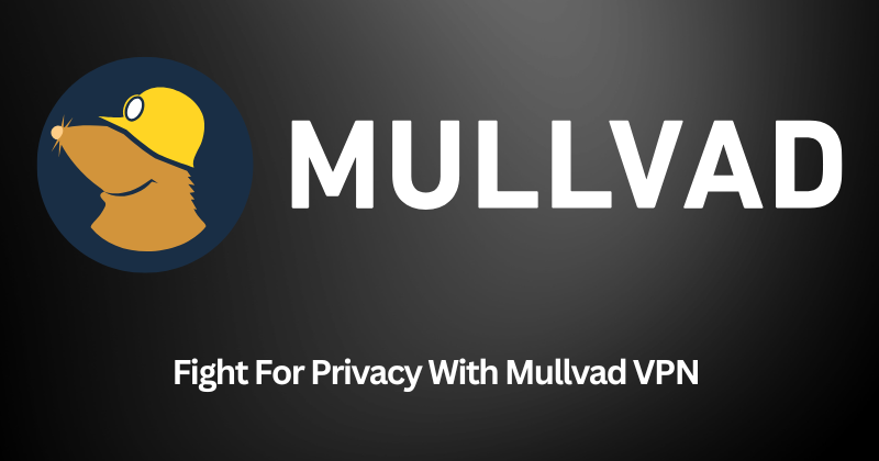 How Mullvad Compares to Free VPN Services - visual representation
