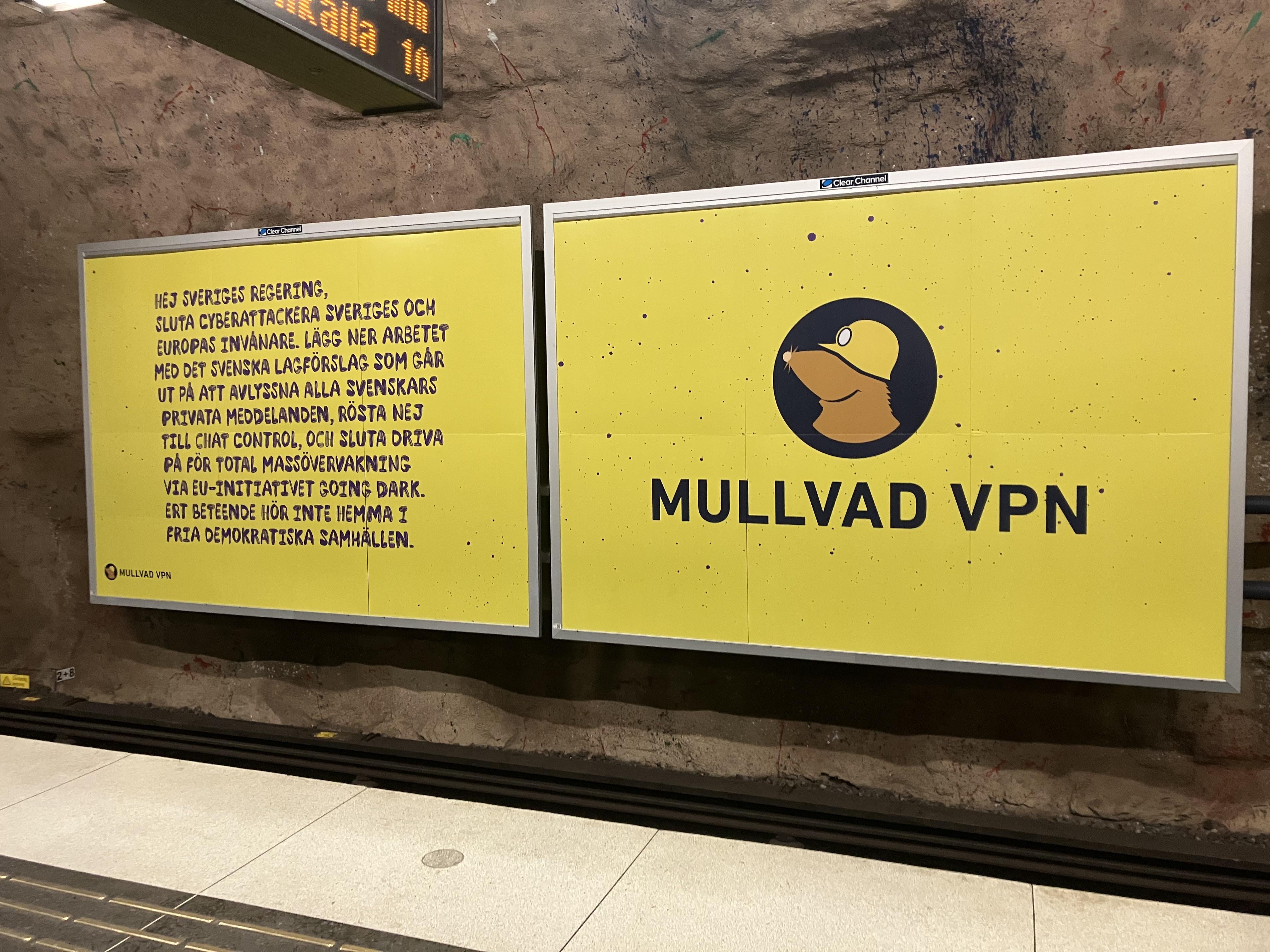 The Role of Digital Activism and Grassroots Messaging - visual representation