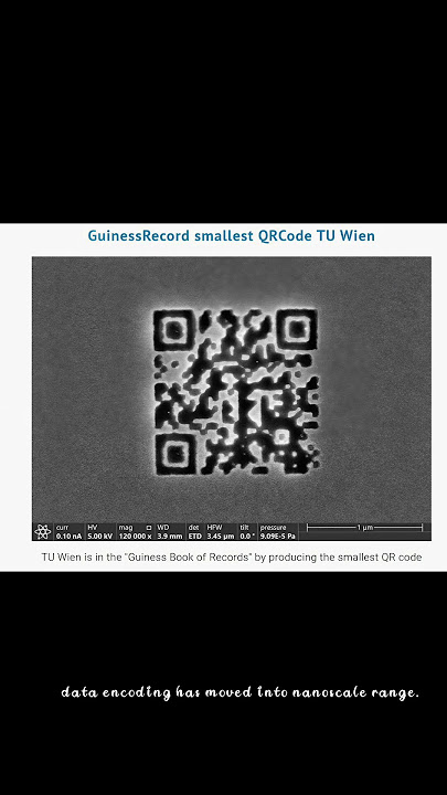 Conclusion: A Bet on Permanence - visual representation