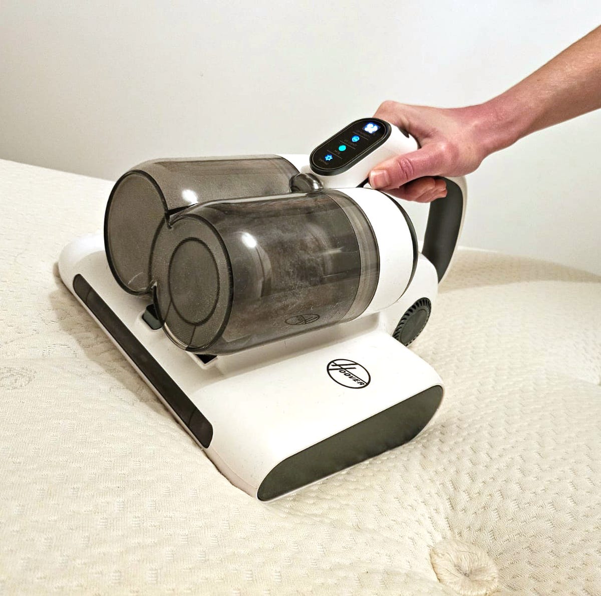 Limitations and Honest Assessment - visual representation