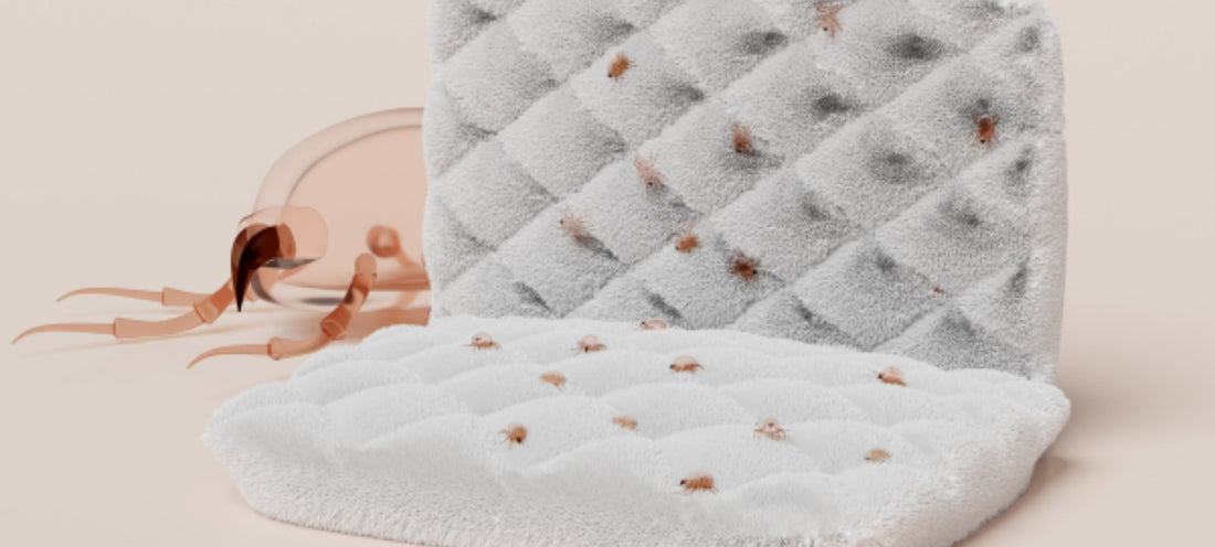 Narwal U50 vs. Other Mattress Cleaning Methods - visual representation