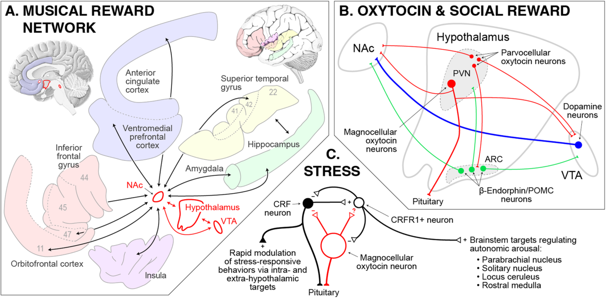 Conclusion - visual representation