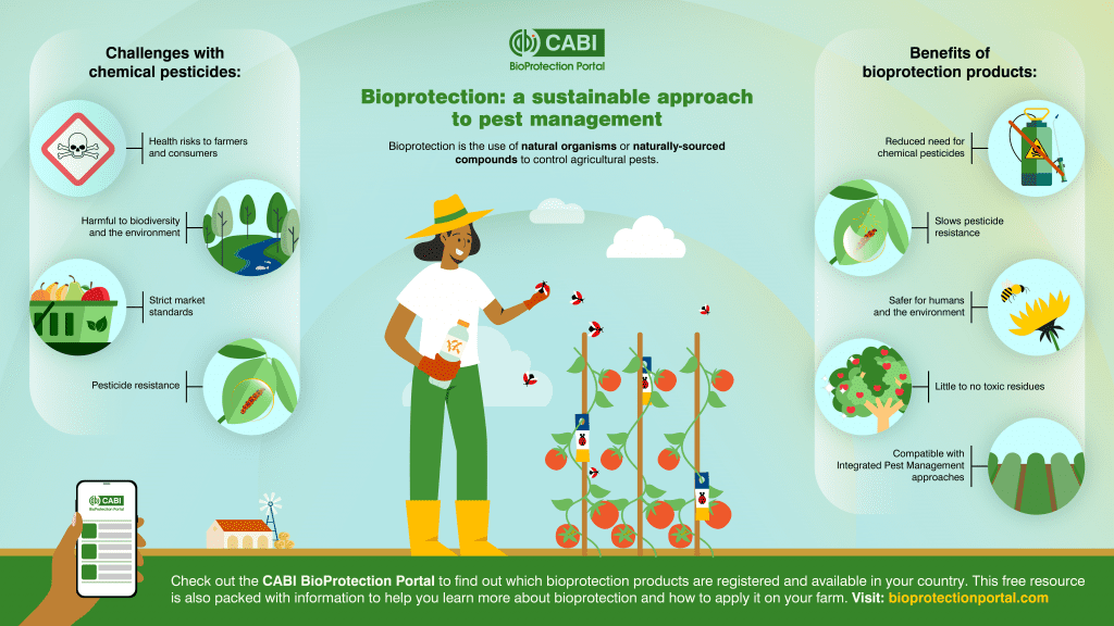 Practical Applications in Agriculture - contextual illustration