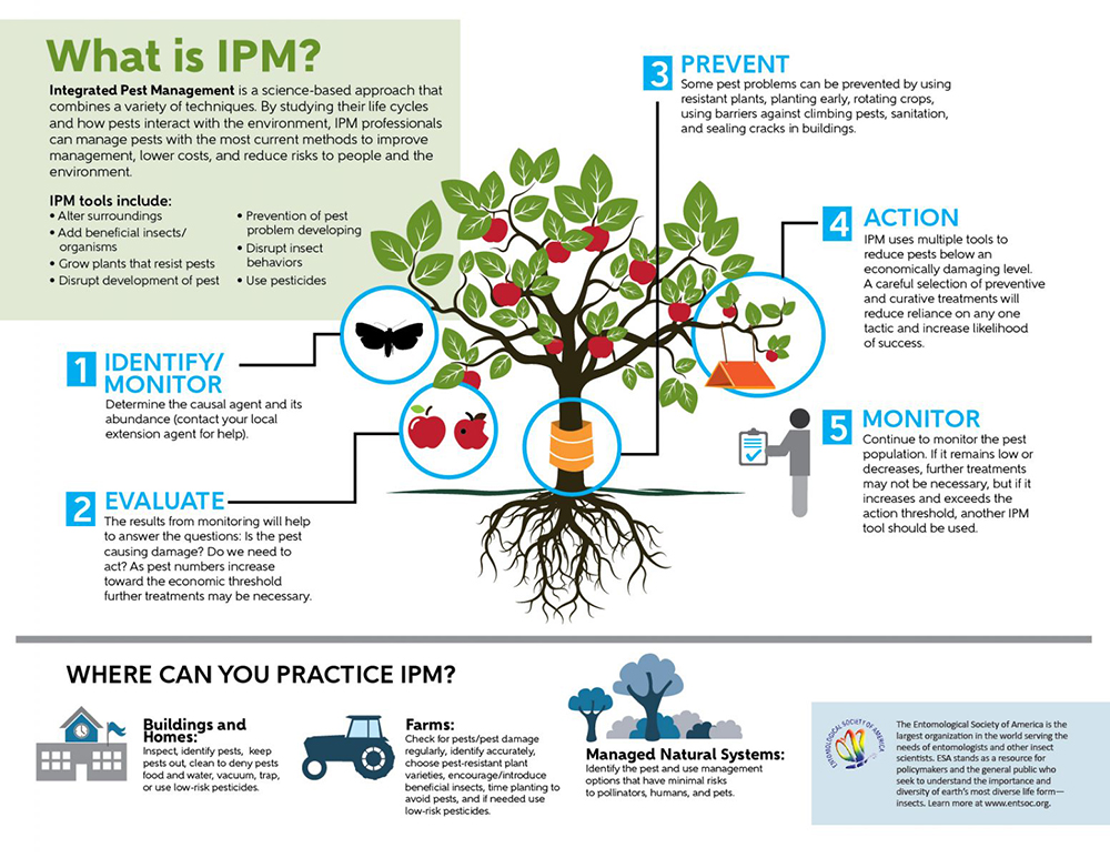 Future Trends in Pest Management - contextual illustration
