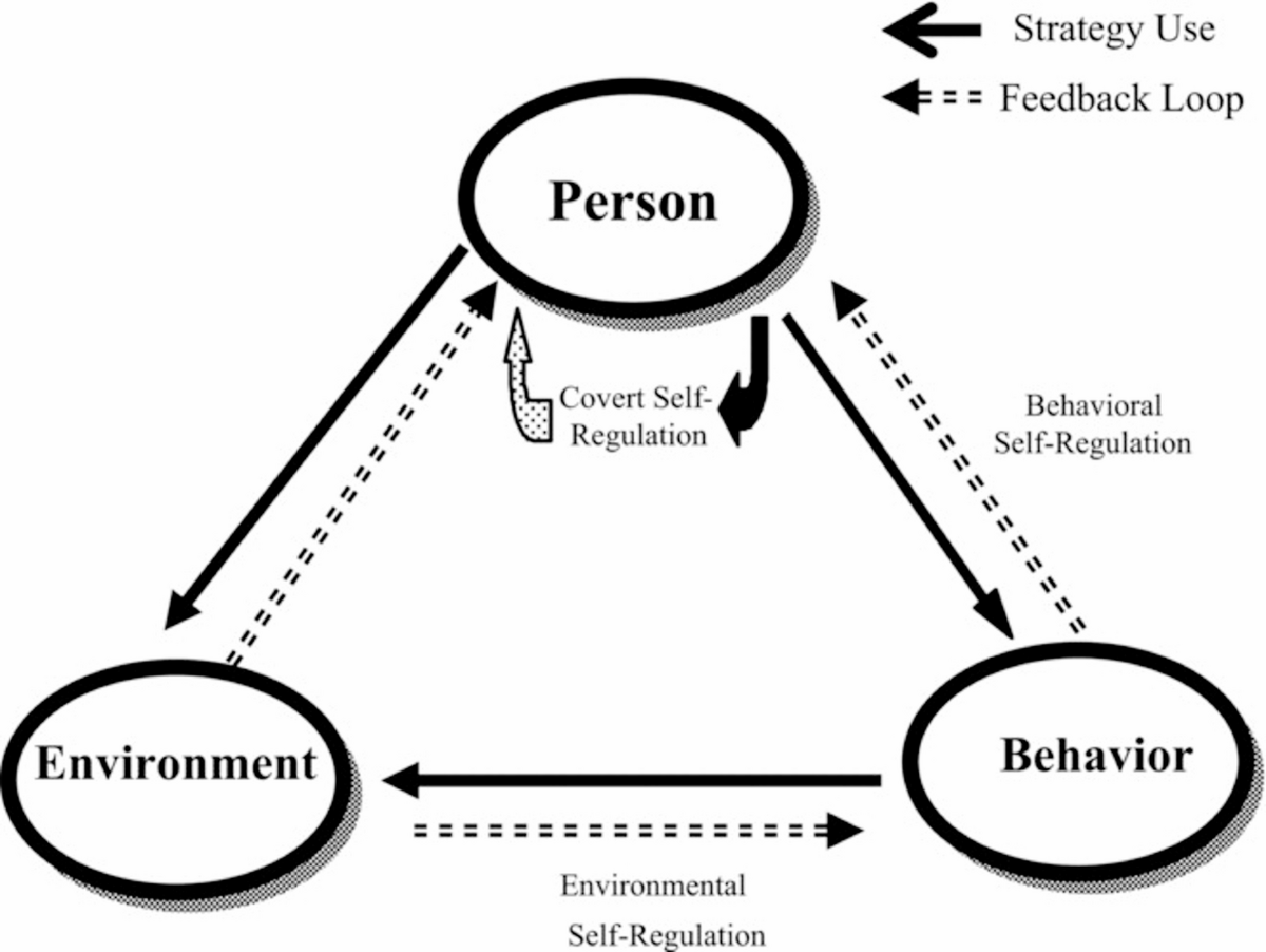 Industry Self-Regulation: The Path Forward - contextual illustration