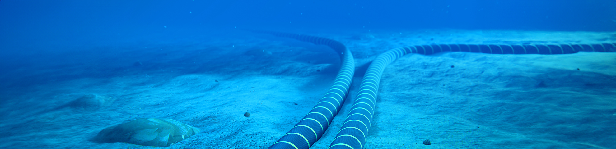 Case Study: Saudi Arabia's AI Ambitions and Undersea Cable Strategy - visual representation