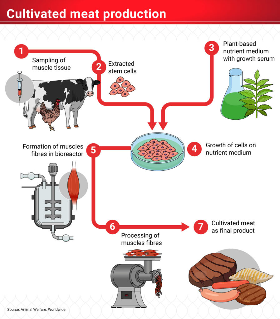 Health and Nutritional Trends - visual representation