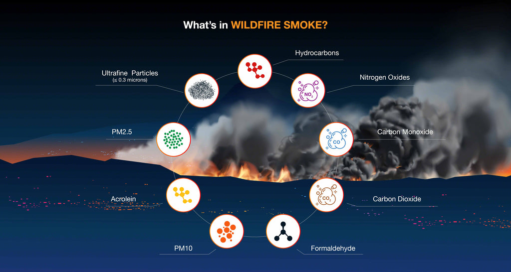 Impact on Air Quality - contextual illustration