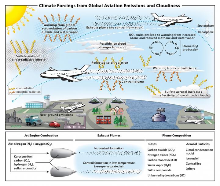 Regulatory and Environmental Considerations - contextual illustration