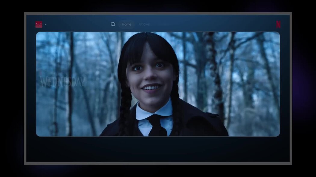 The Long-Term Vision: Netflix as an Entertainment OS - visual representation