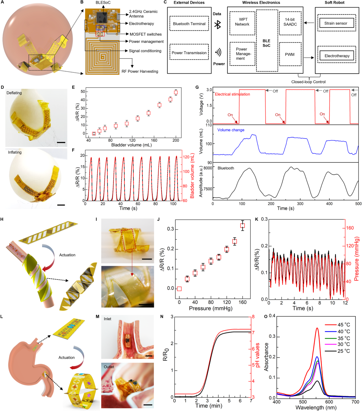 Conclusion: Bridging the Gap Between Biology and Robotics - visual representation