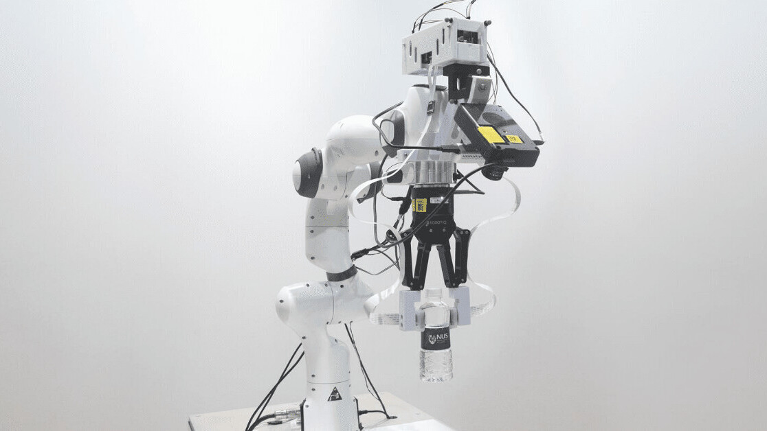 Information Encoding and Signal Integration - visual representation