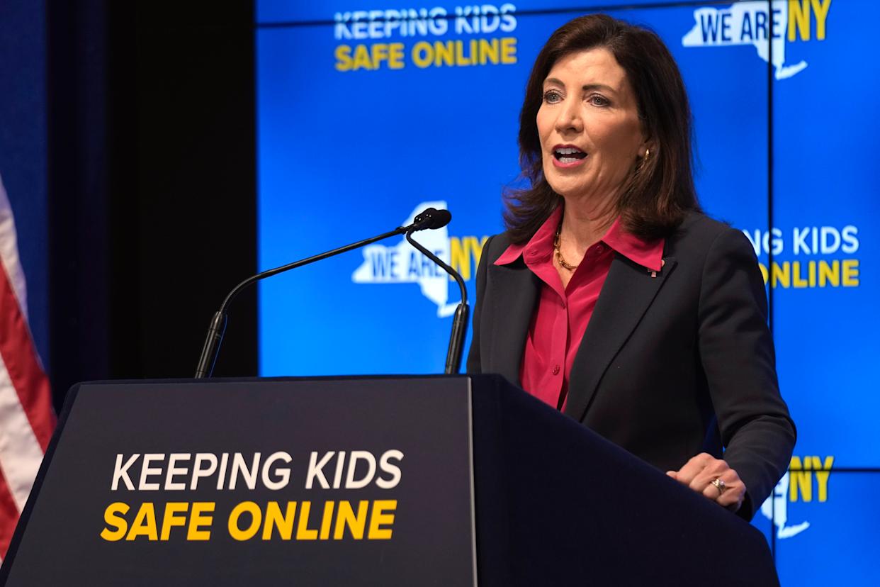 Predictions: How This Law and Similar Regulations Will Evolve - visual representation