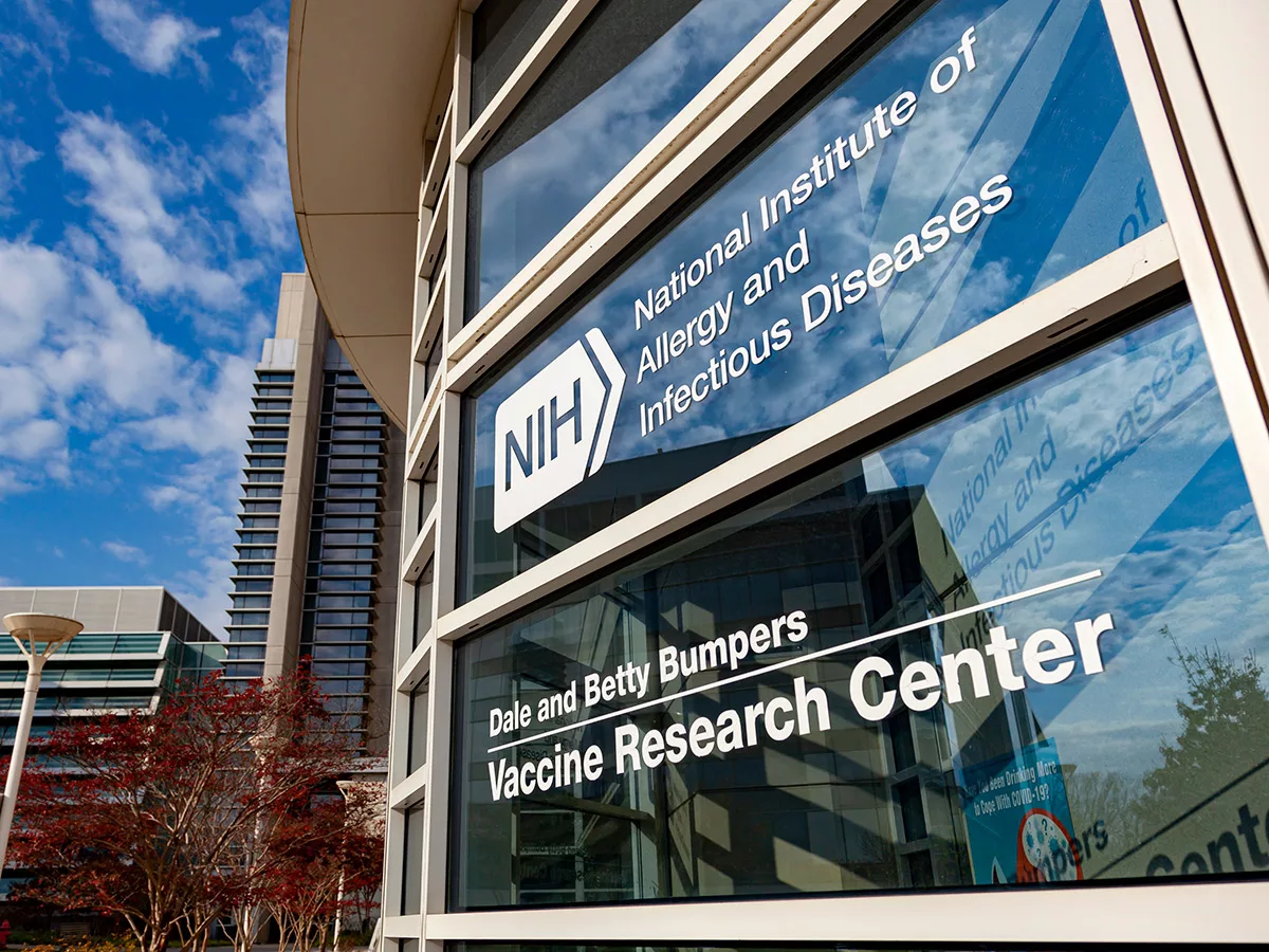 The Precedent: Similar Struggles at Other Agencies - visual representation