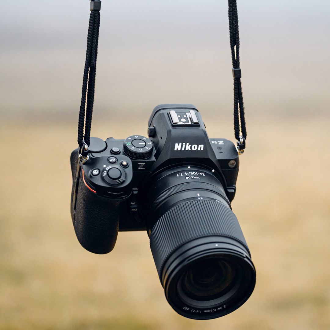 Expansion Path: What Comes Next - visual representation