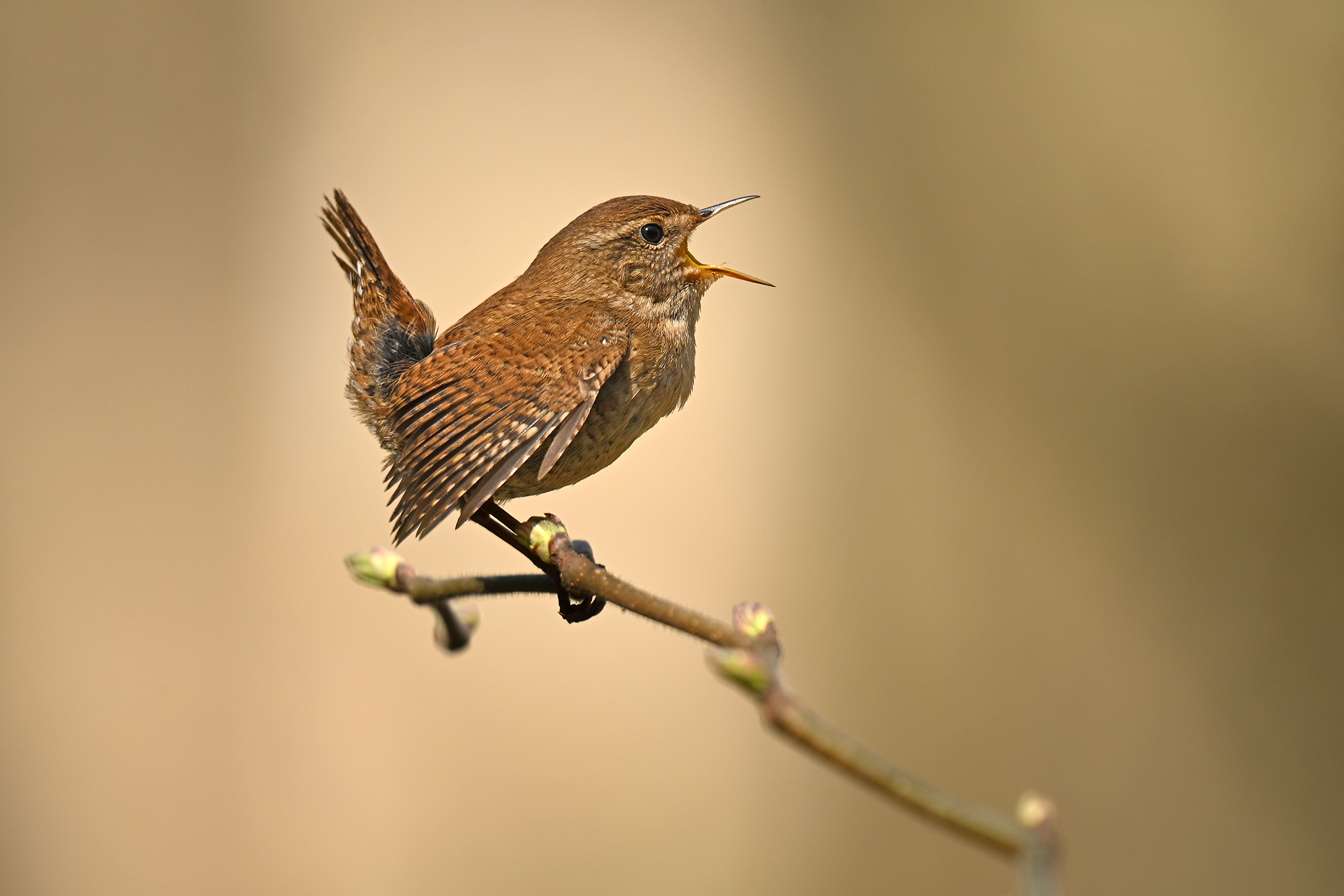 TL; DR - visual representation