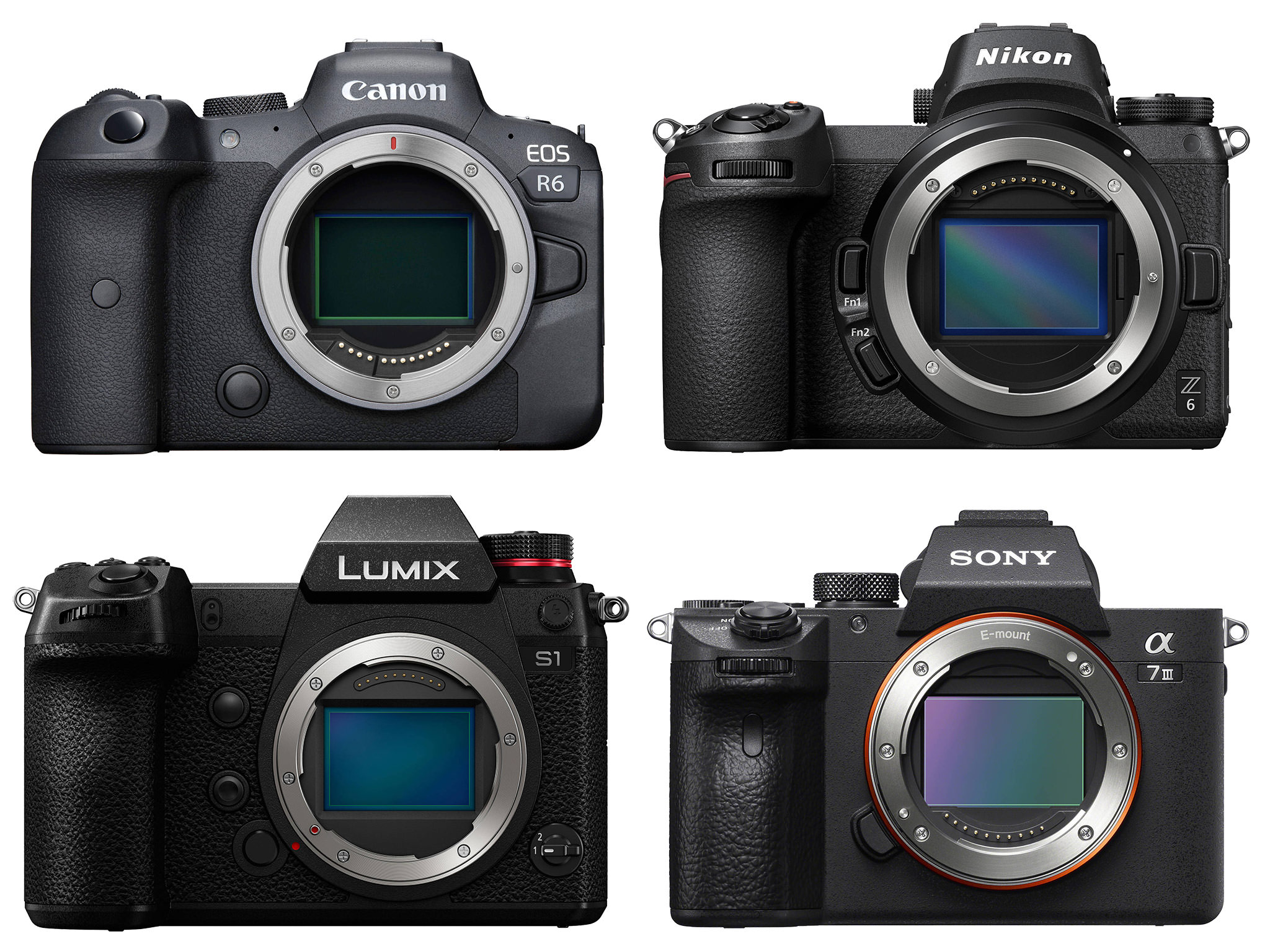 The Trade-offs: What You're Giving Up by Choosing the Z6 III - visual representation