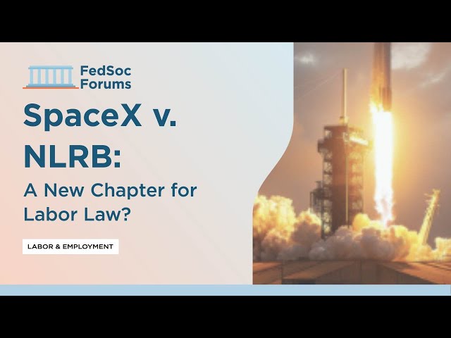 The Political Dynamics: Department of Government Efficiency and Regulatory Rollback - visual representation