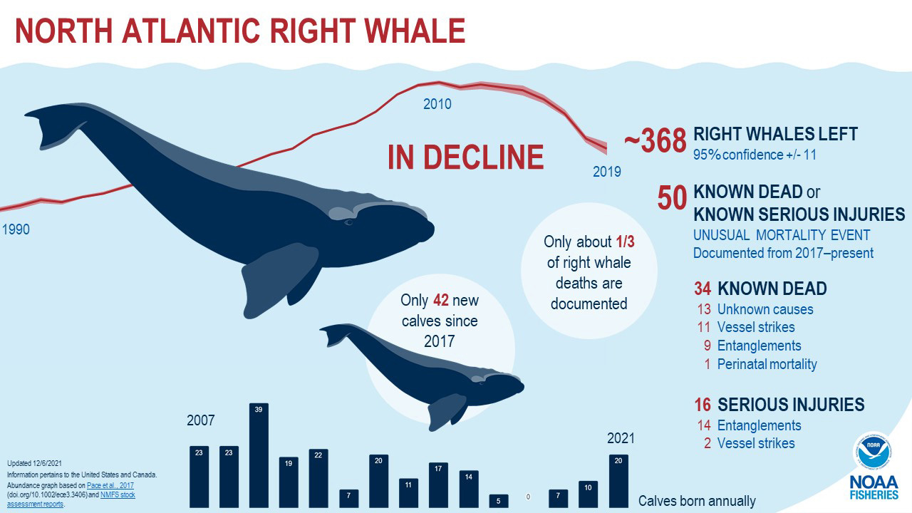 The Catastrophe That Almost Wiped Out an Entire Species - contextual illustration