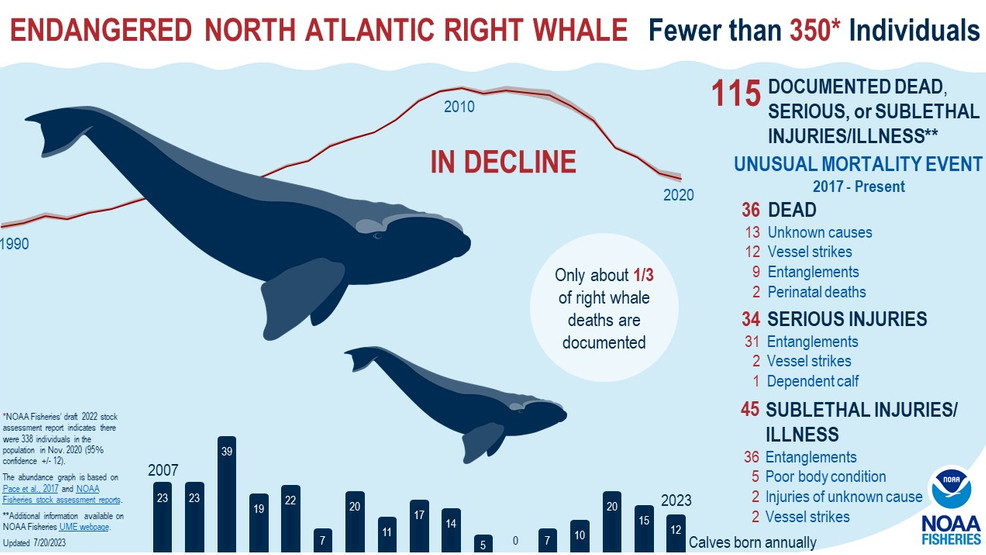 Climate Change: The Emerging Threat Nobody Talks About - visual representation