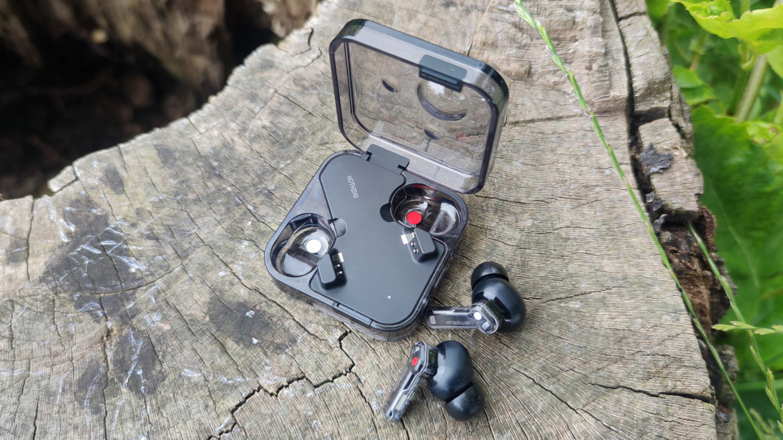 Design Predictions: Transparent, But Different - visual representation