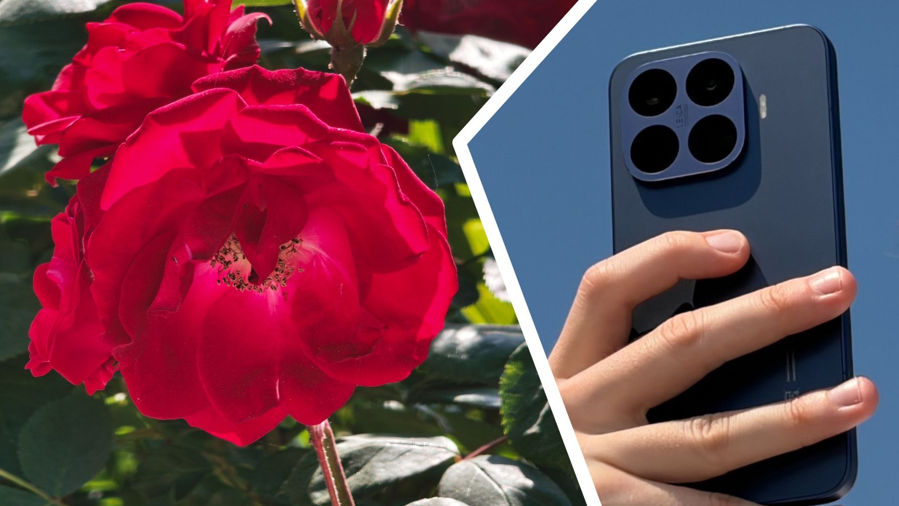 ‘Nothing in its class comes close’: the Xiaomi 17T Pro is being called ‘the telephoto master’, but how does its 5x zoom perform in reality? I took over 500 photos to find out | TechRadar