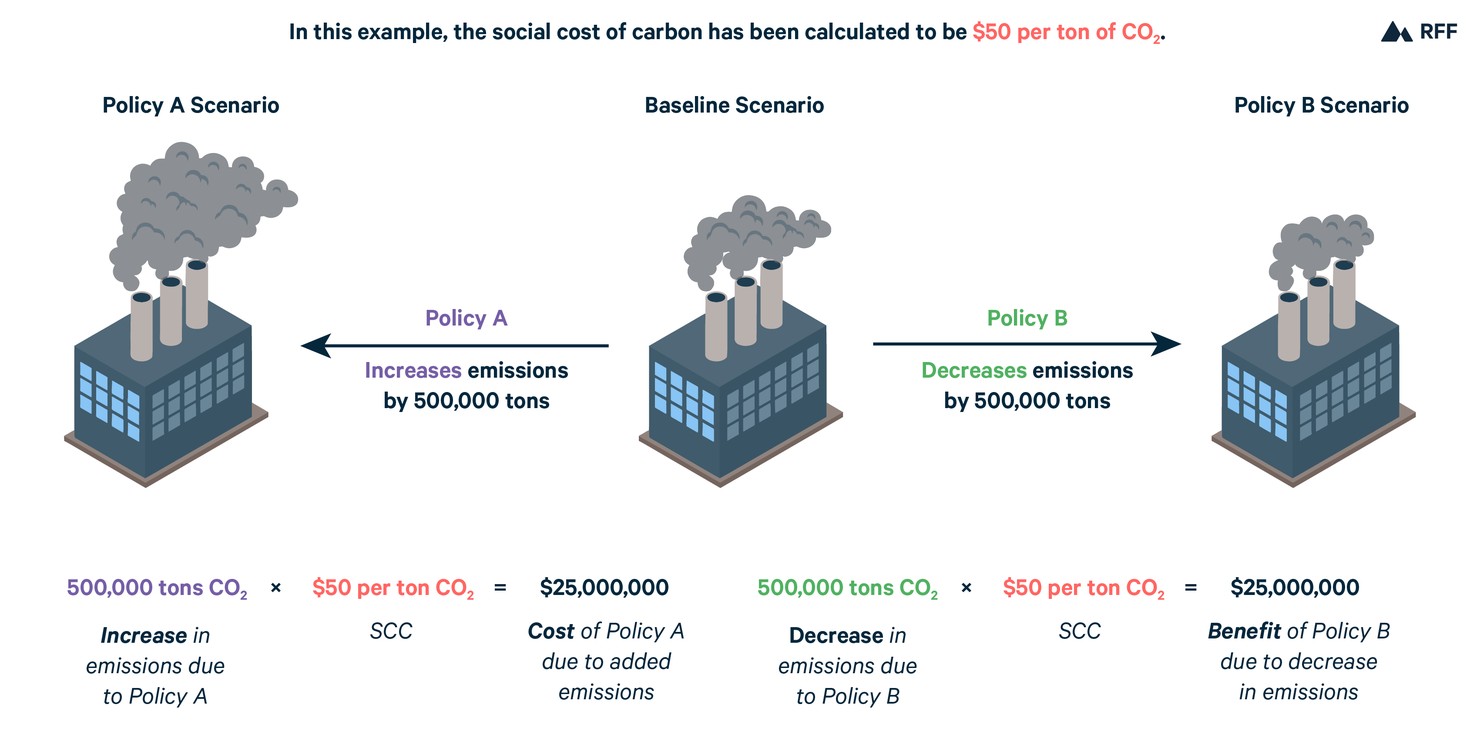 Coral Reefs: The Economic Canary in the Ocean - visual representation