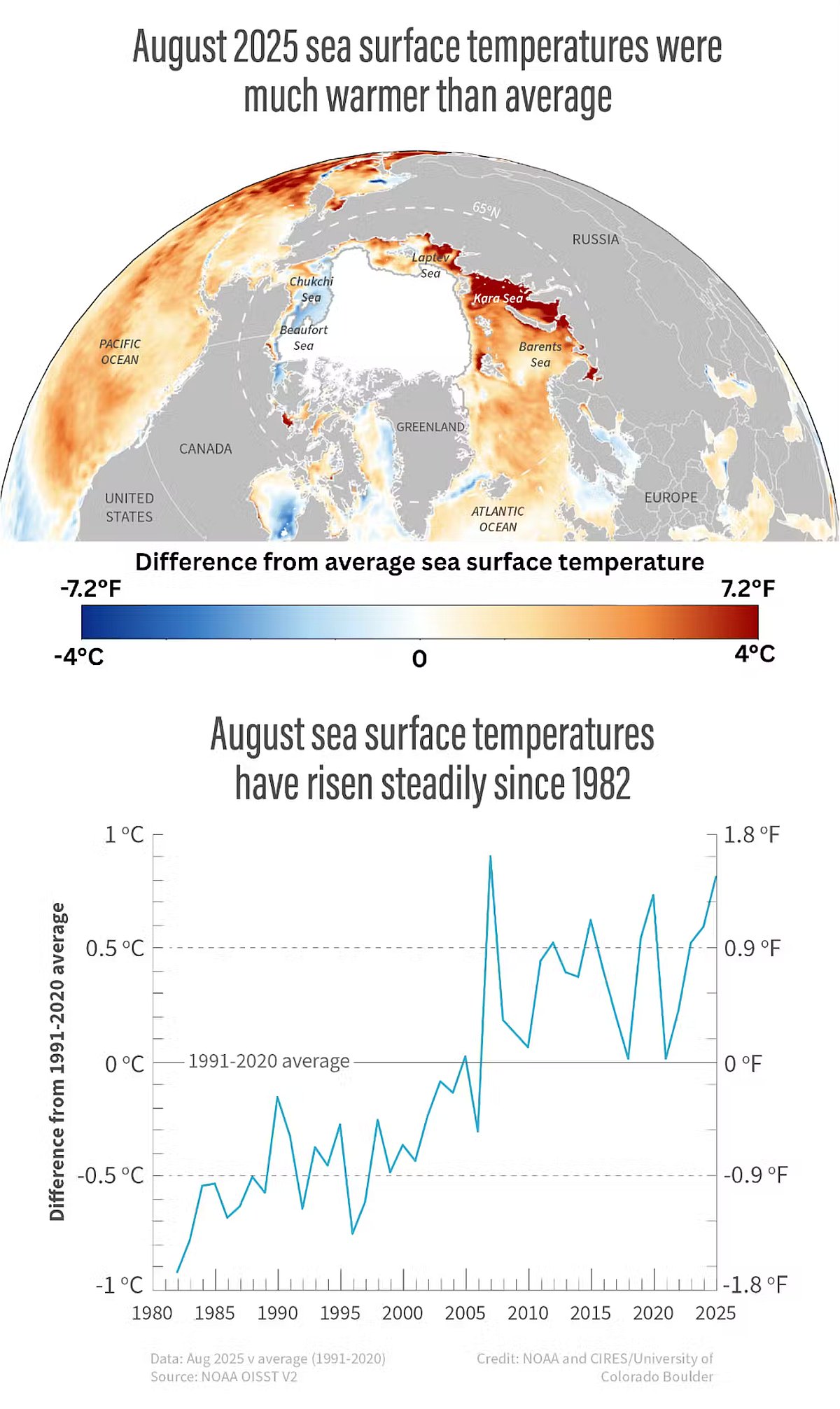 Solutions and Mitigation Strategies: What Can We Do? - visual representation