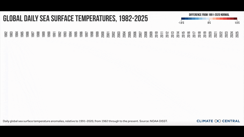 Regional Variations: Not All Oceans Warm Equally - visual representation