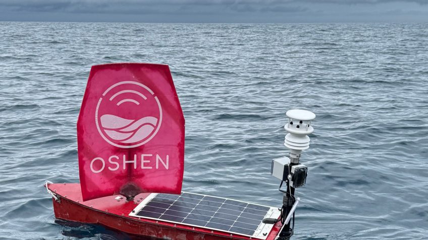 The Business Model: From Bootstrapped Startup to Government Contracts - visual representation