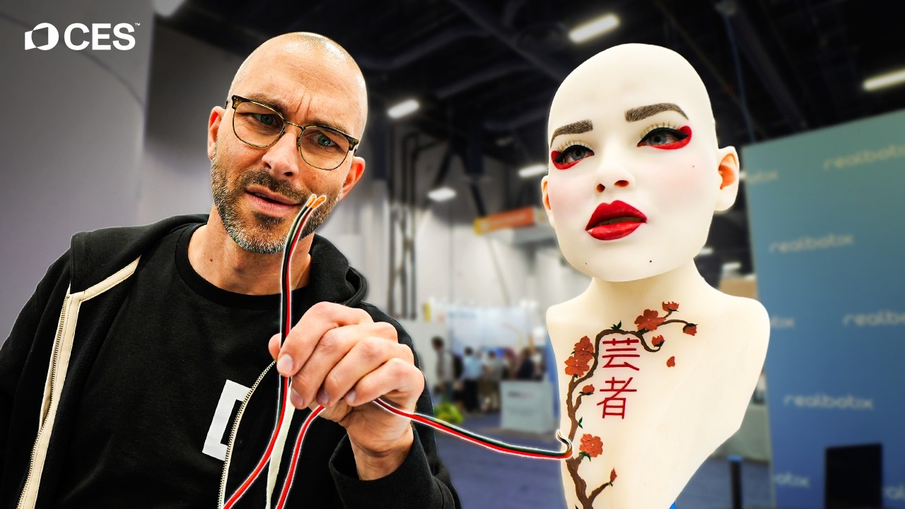 Future Risk and What to Expect - visual representation