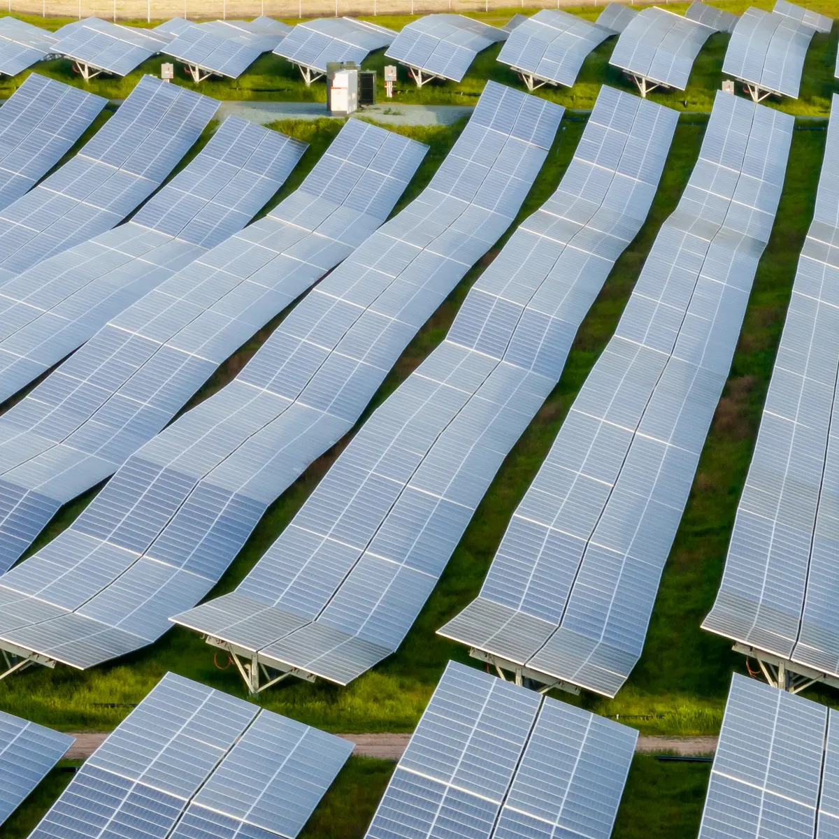 The Precedent of Earlier Trump Administration Actions - visual representation