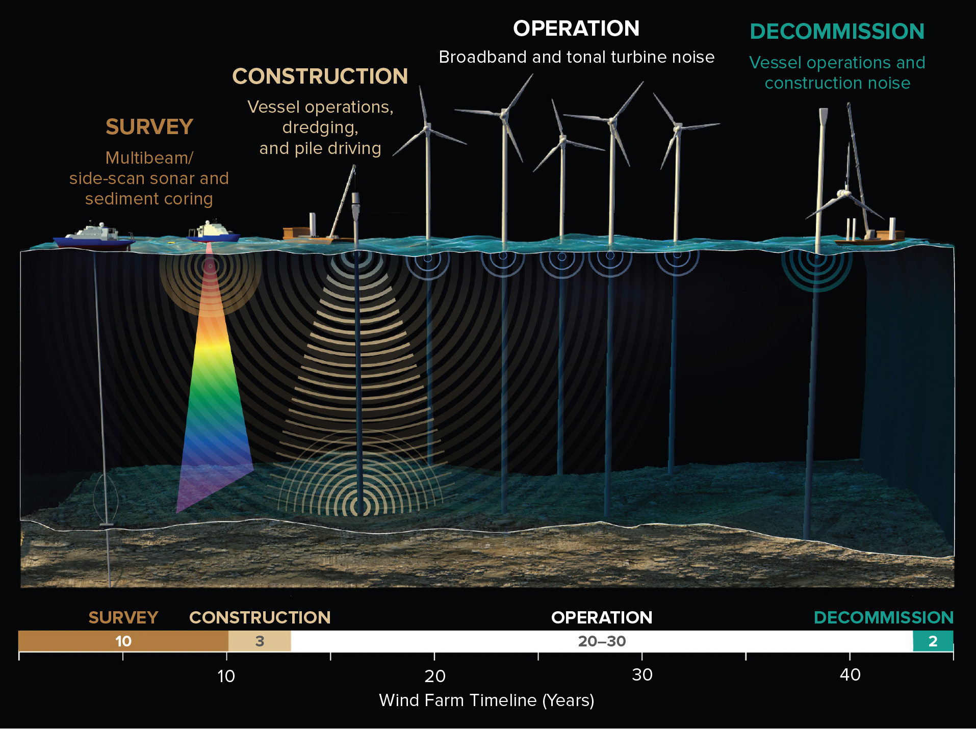 The December Bombshell: How the Halt Happened - visual representation