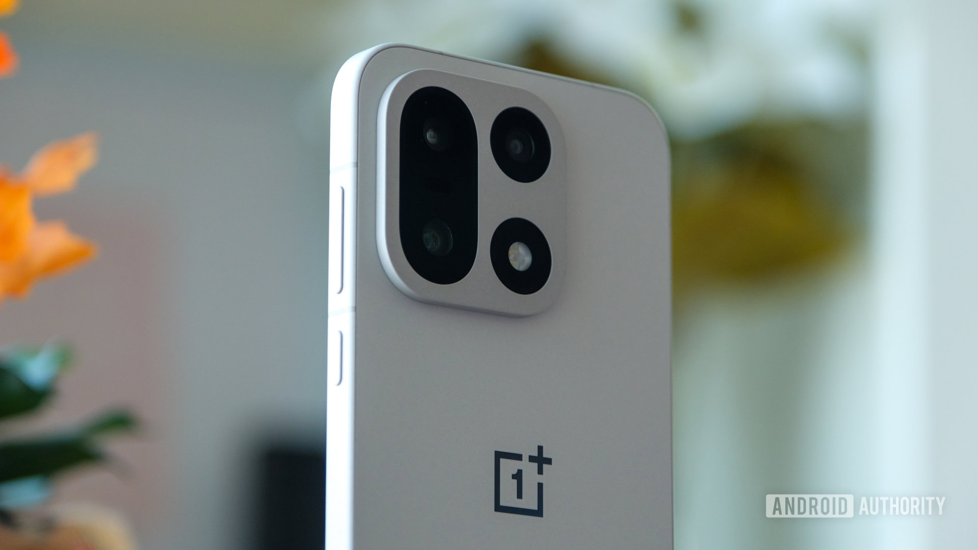 Regional Market Variations - visual representation