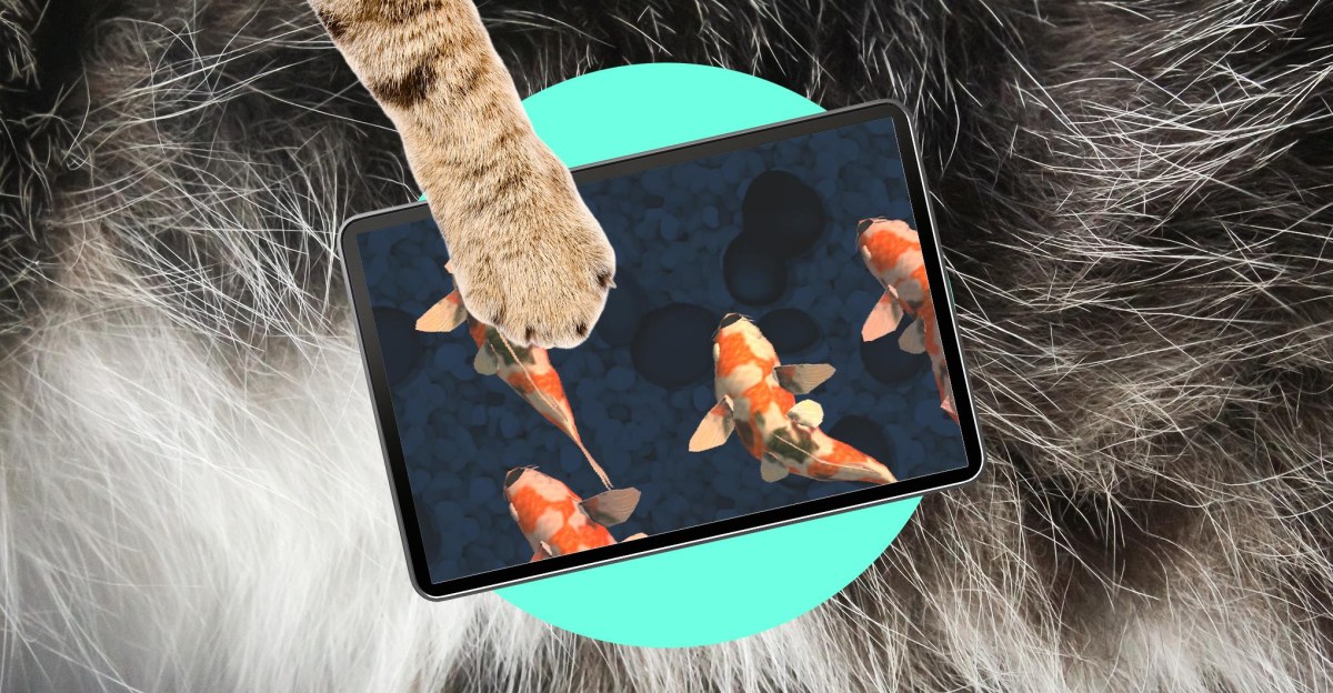Oops! My cat is an iPad kid | The Verge