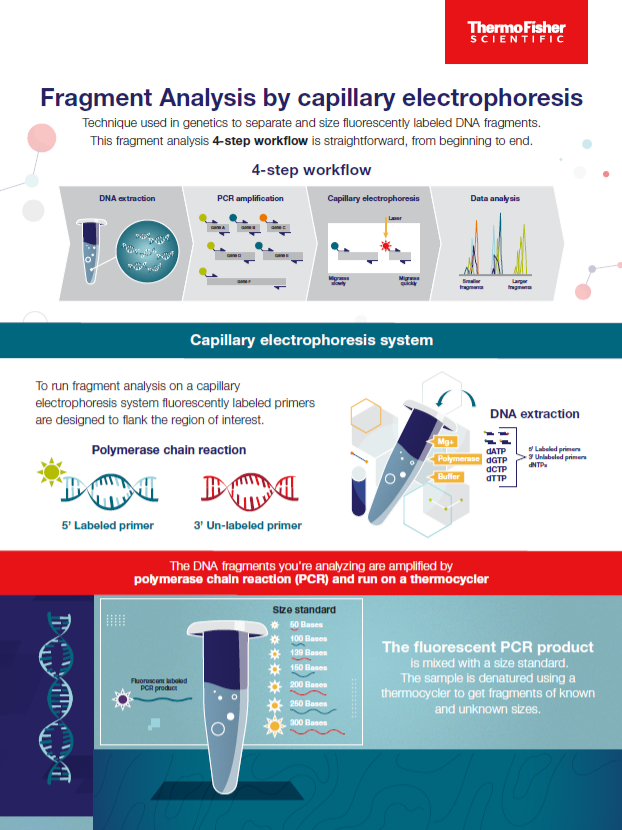 FAQ - visual representation