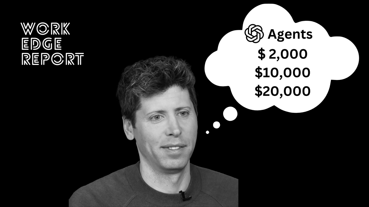 Key Uncertainties and Risks - visual representation