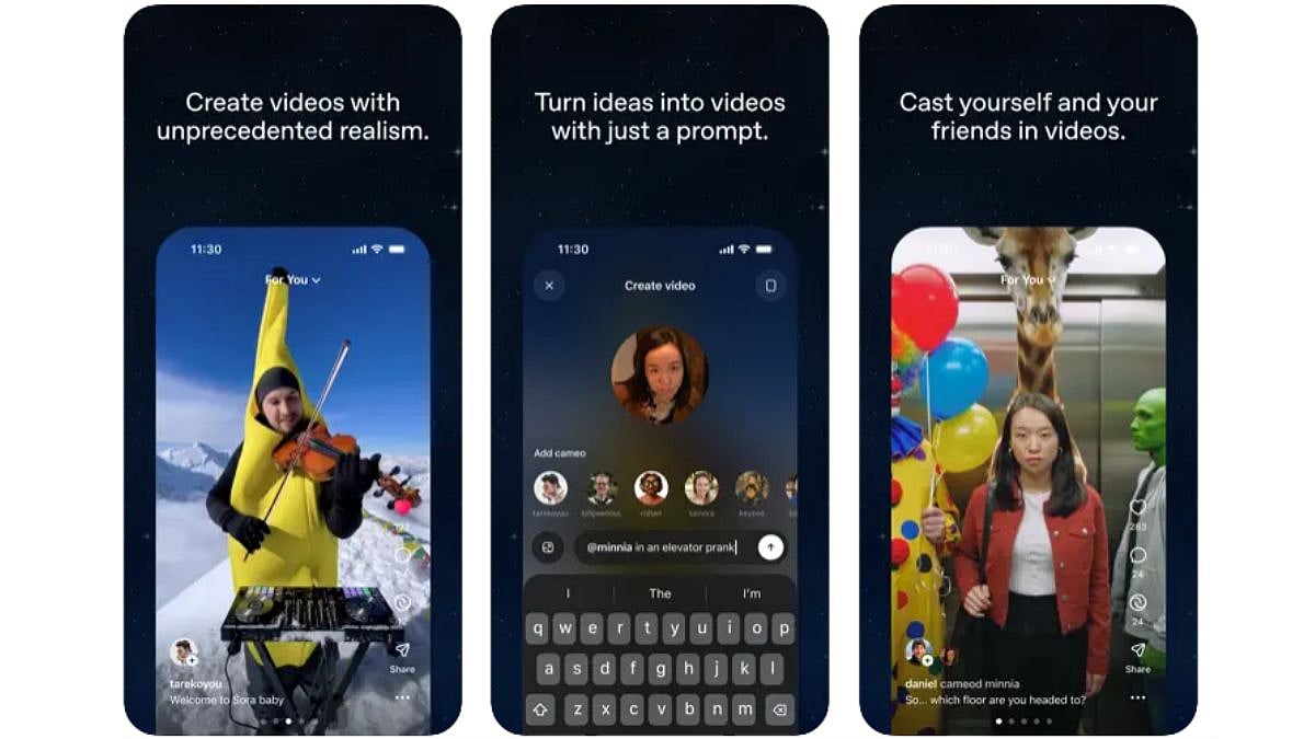 The Rise and Fall of Sora - visual representation