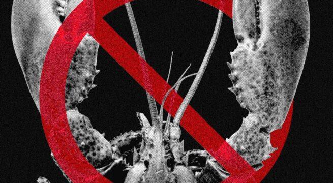 Conclusion - visual representation